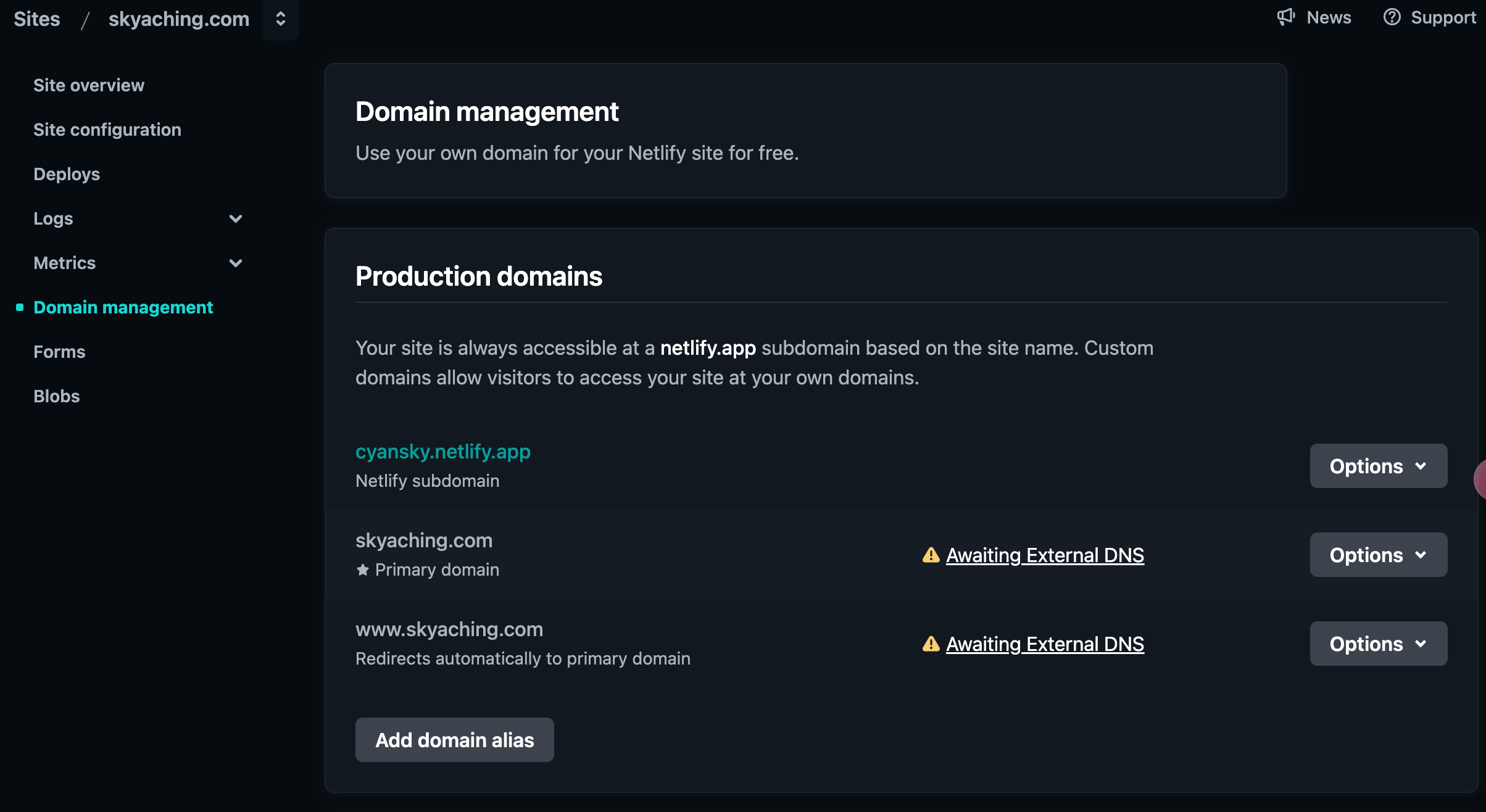 netlify-add-a-domain-4.png